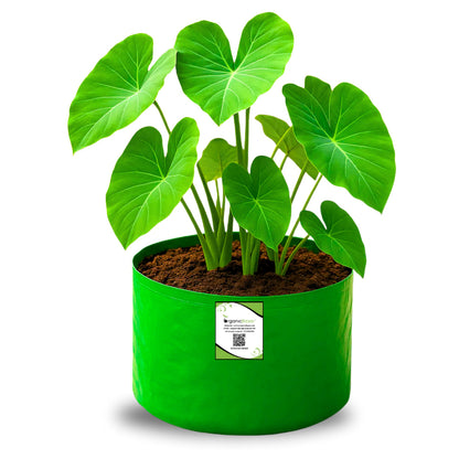 OrganicBazar 9x6 Small Grow Bag for Terrace Garden, Premium HDPE 260 GSM, Green Plant Bags