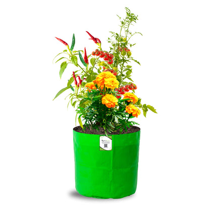 OrganicBazar 9x9 Small Grow Bag for Terrace Garden, Premium HDPE 260 GSM, Green Plant Bags