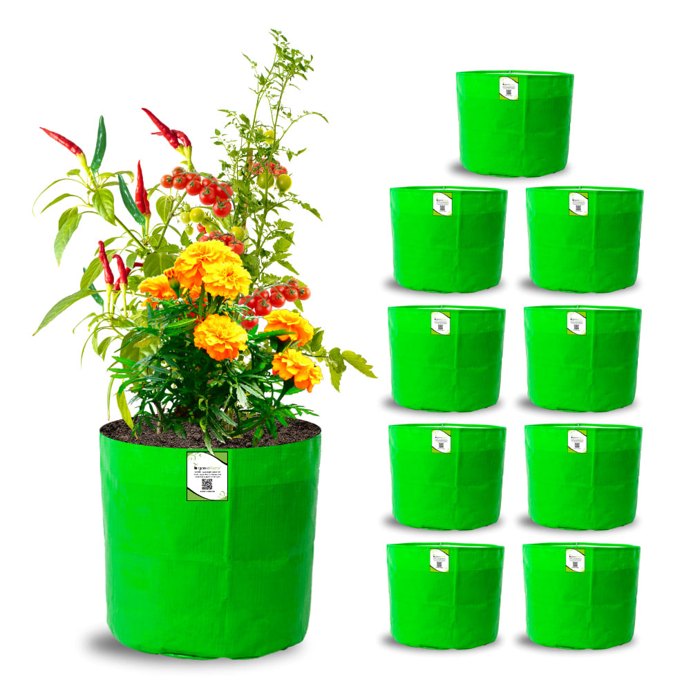 OrganicBazar 9x9 Small Grow Bag for Terrace Garden, Premium HDPE 260 GSM, Green Plant Bags