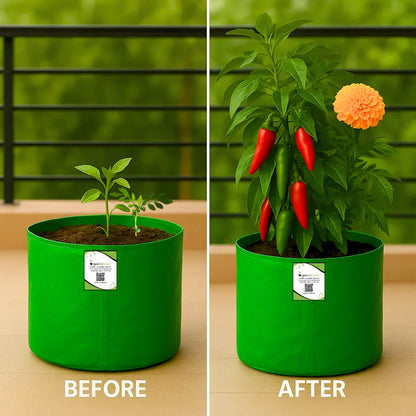 OrganicBazar 9x9 Small Grow Bag for Terrace Garden, Premium HDPE 260 GSM, Green Plant Bags