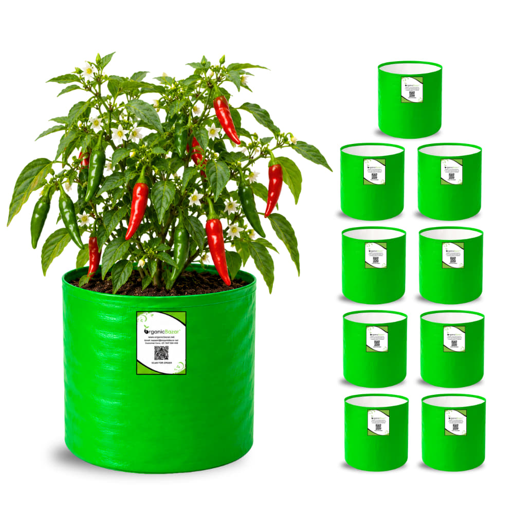 OrganicBazar 9x9 Small Grow Bag for Terrace Garden, Premium HDPE 260 GSM, Green Plant Bags
