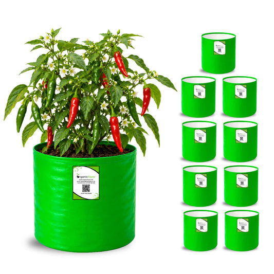OrganicBazar 9x9 Small Grow Bag for Terrace Garden, Premium HDPE 260 GSM, Green Plant Bags