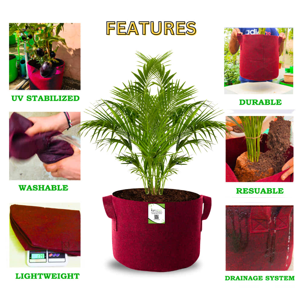 OrganicBazar 15X12 Geo Fabric Grow Bags for Terrace Garden