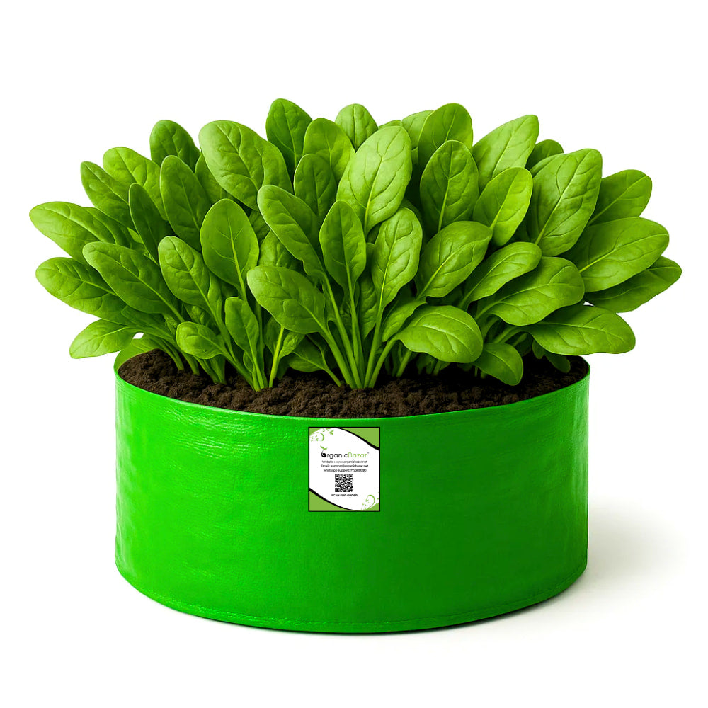 OrganicBazar 18x9 Grow Bag for Leafy Vegetables, Premium HDPE 260 GSM, Green Plant Bags for Terrace Garden