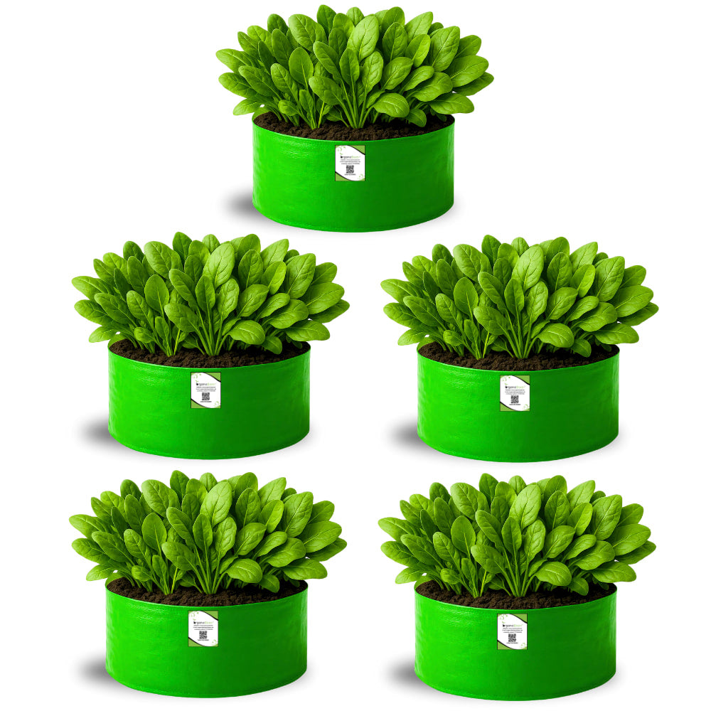 OrganicBazar 18x9 Grow Bag for Leafy Vegetables, Premium HDPE 260 GSM, Green Plant Bags for Terrace Garden