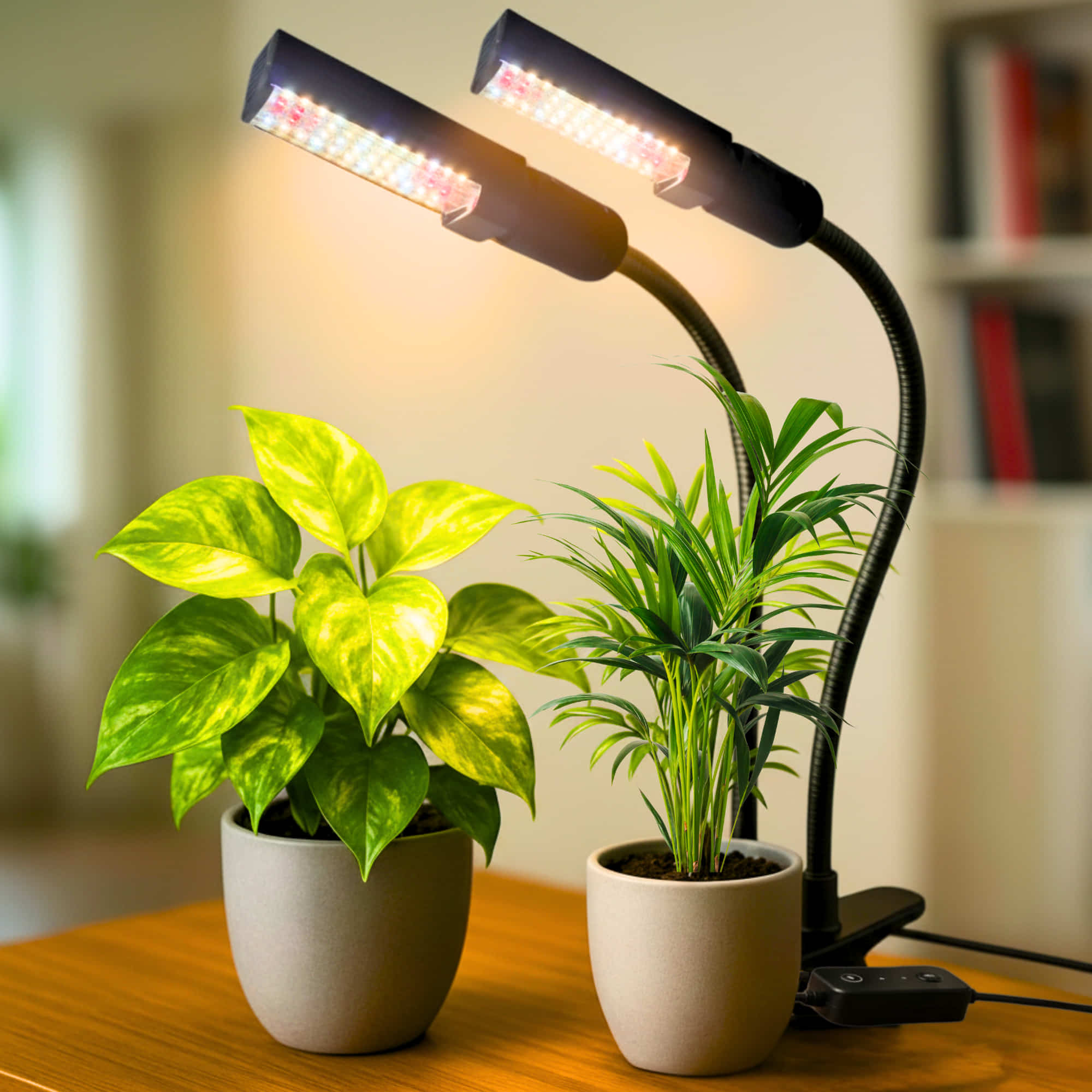 Grow Light with Full Spectrum LED for Indoor Plants — Dual Head with Adjustable Gooseneck & Smart controller switch