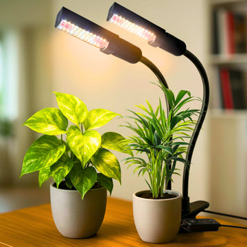 Grow Light with Full Spectrum LED for Indoor Plants — Dual Head with Adjustable Gooseneck & Smart controller switch