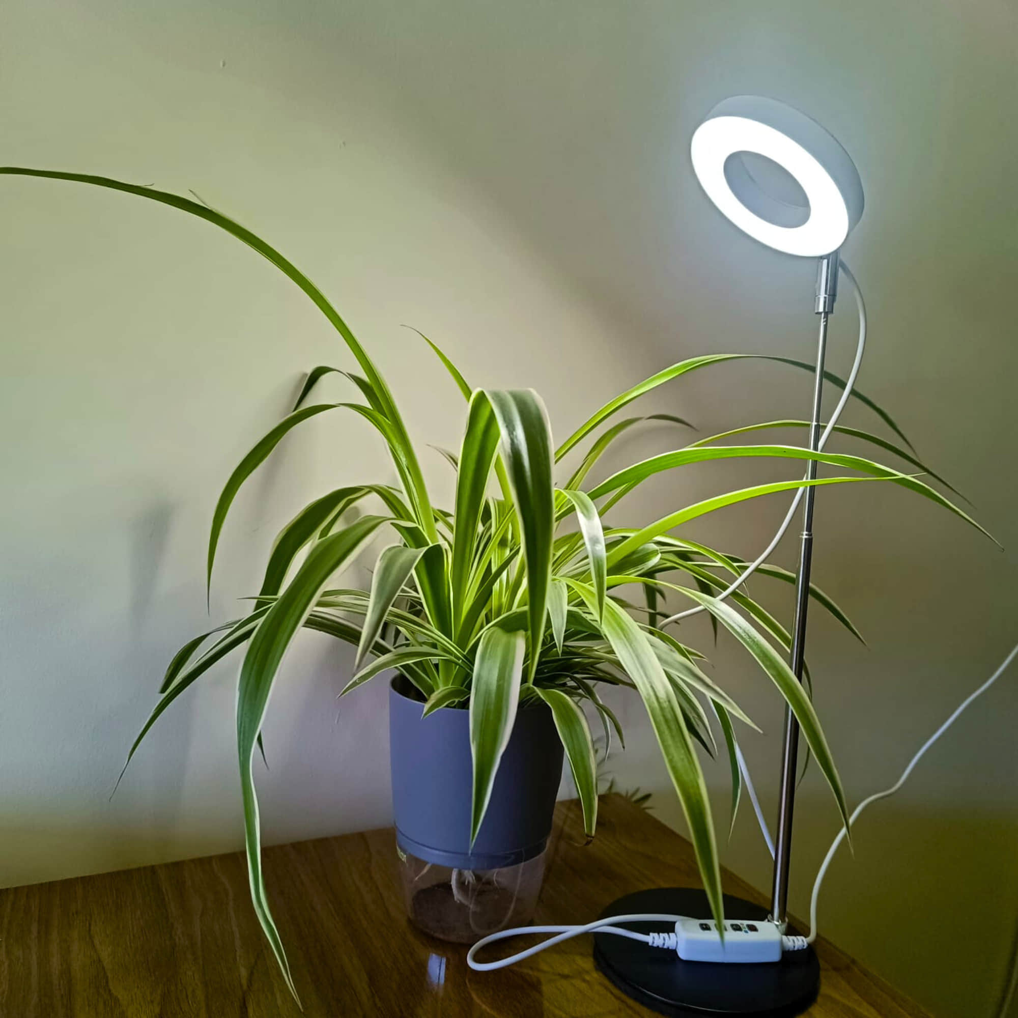 Round Plant Grow Light with Metal Base (Full Spectrum) – Adjustable Height, Automatic Timer, USB Powered (5V Safe Voltage) for Indoor/Outdoor Plants