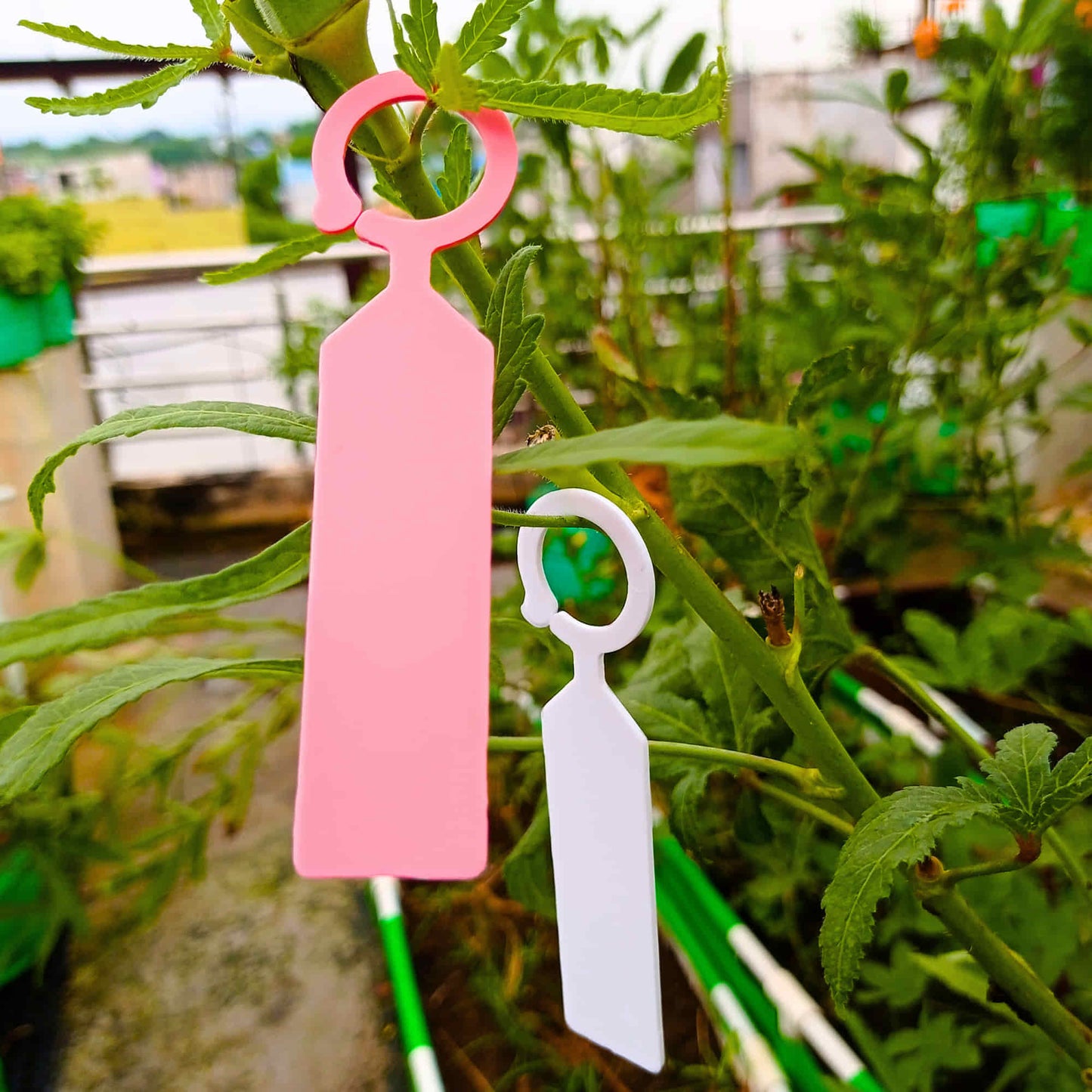 Hanging Plant Tag for Nursery & Home Garden | Plastic Plant Tree Tags | Ring Tag Garden Labels for Terrace Garden