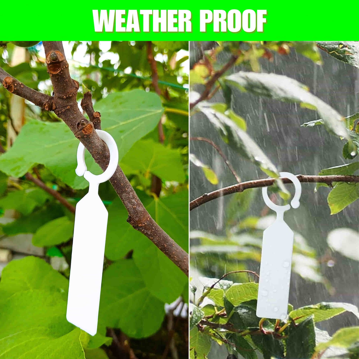 Hanging Plant Tag for Nursery & Home Garden | Plastic Plant Tree Tags | Ring Tag Garden Labels for Terrace Garden