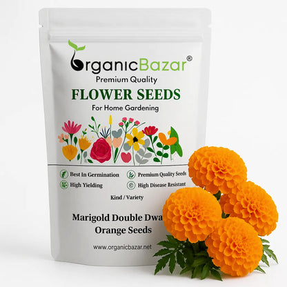 Marigold Double Dwarf Orange Seeds - 100 Seeds (Genda/ गेंदा के बीज) High Germination/ Easy To grow/ Perfect for pots, balconies, or Terrace gardens