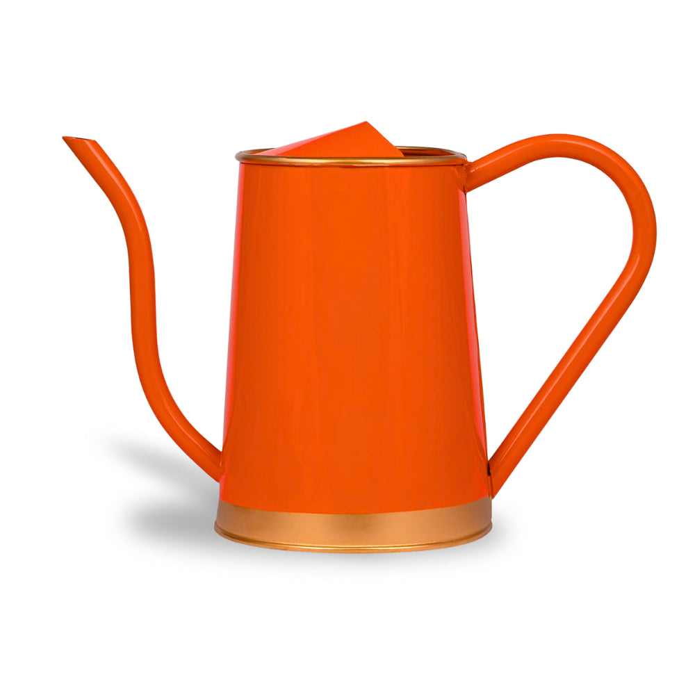 Metal Watering Can For Home Garden