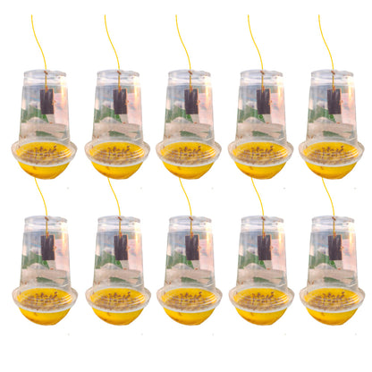 Melon Fruit Fly Trap With Pheromone Lure For Organic Gardening