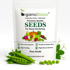 Peas (Matar) Seeds - 50 Seeds (मटर के बीज)