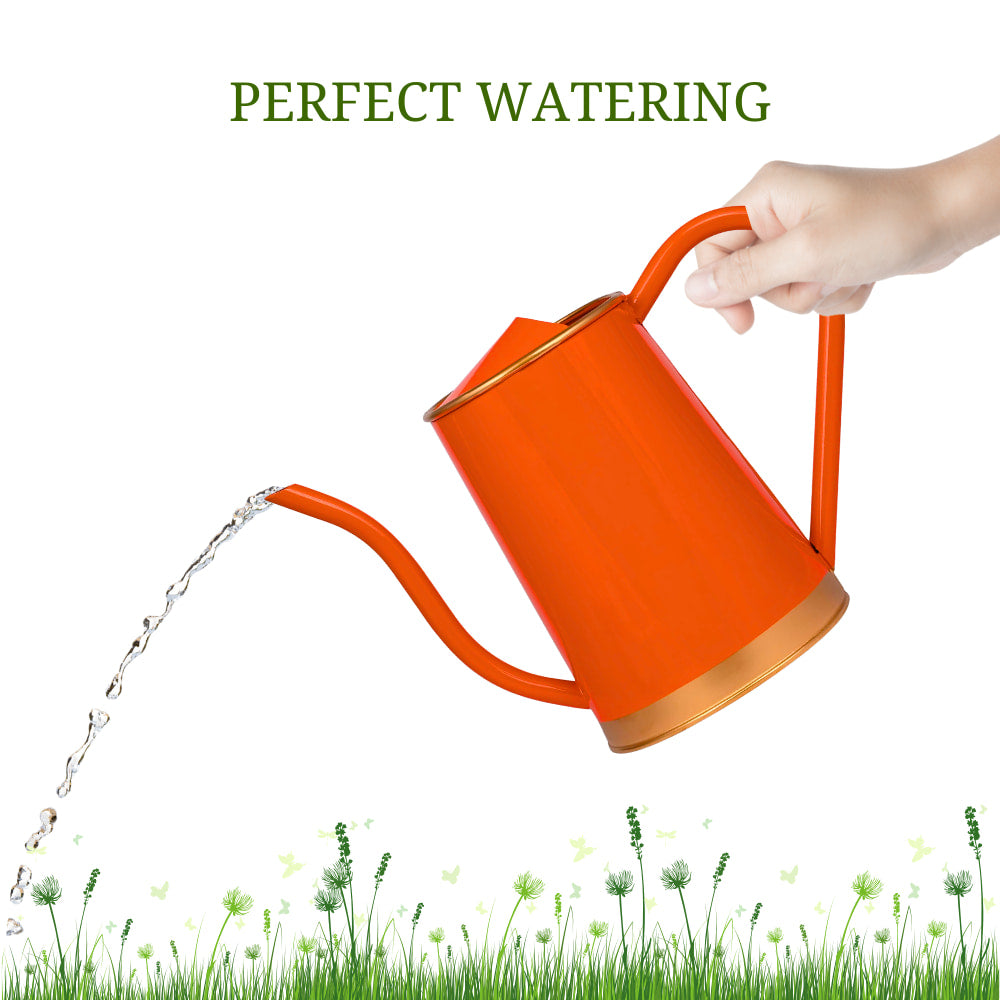 Metal Watering Can For Home Garden