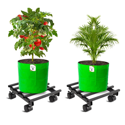 OrganicBazar Heavy Duty Plant Stand with Wheels | Plant Caddy with Wheel | Wheel Pot Trolley for Balcony, Indoor & Outdoor Garden | Rust-Proof Metal Gamla Stand (Black, Pack of 2)