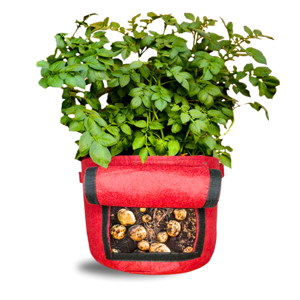 Geo Fabric 15X12 Potato Grow Bag With Harvest Window For Terrace Gardening Suitable For Vegetable and Flower Plants
