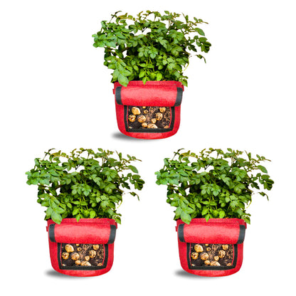 Geo Fabric 15X12 Potato Grow Bag With Harvest Window For Terrace Gardening Suitable For Vegetable and Flower Plants