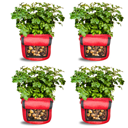 Geo Fabric 15X12 Potato Grow Bag With Harvest Window For Terrace Gardening Suitable For Vegetable and Flower Plants
