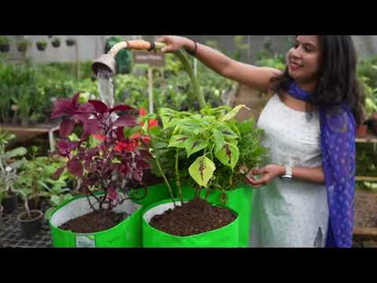 OrganicBazar 15x15 Grow Bag for Vegetable Gardening, Premium HDPE 260 GSM, Green Plant Bags for Terrace Garden