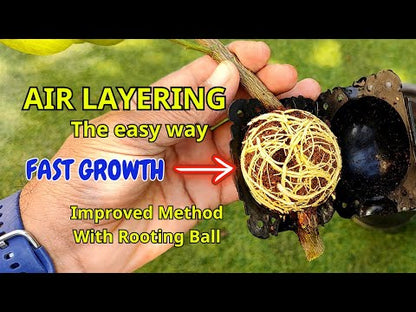 Rooting Ball Tools for Plant Propagation (Set of 5)