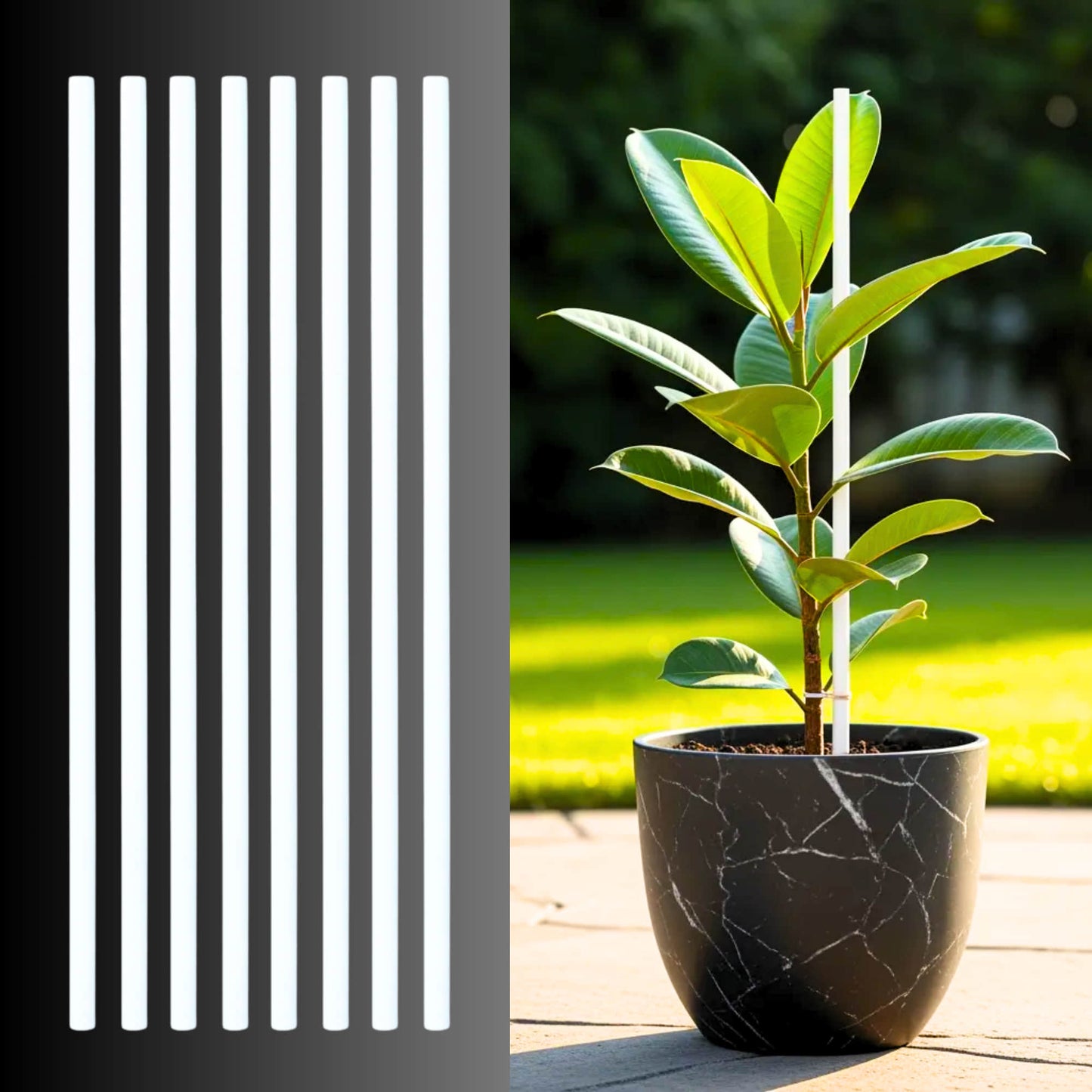 PVC Plant Support  Sticks for Home Garden (White, Pack of 8)| Creepers & Climbers | Vertical Growth Support for Plants & Flowers