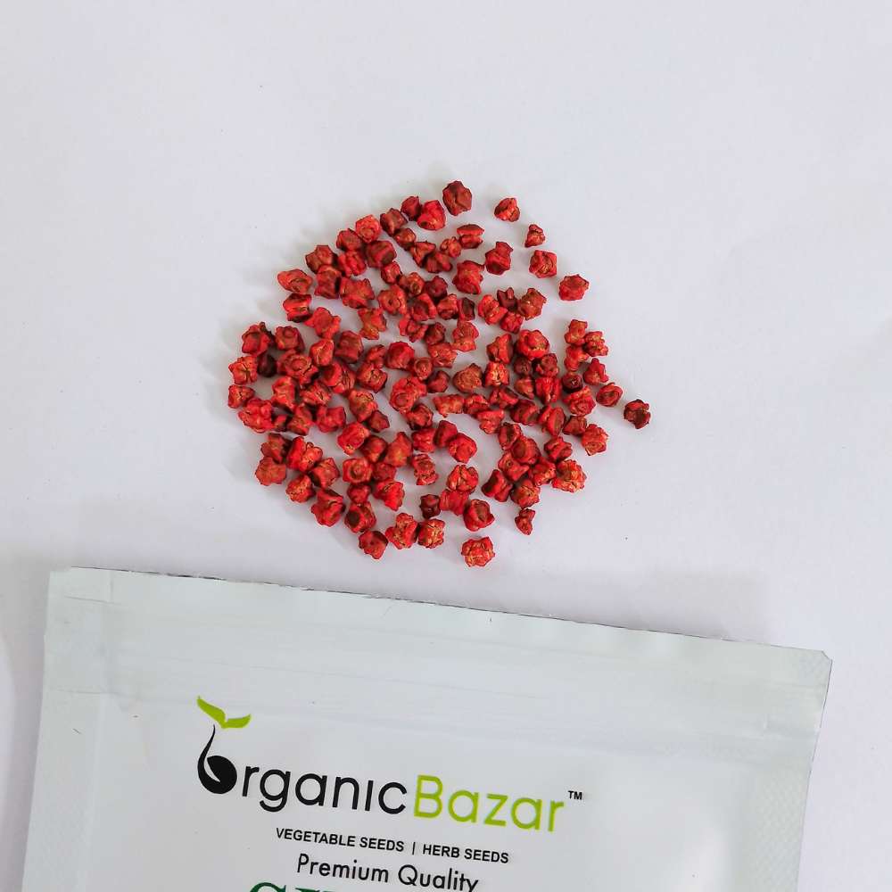 Beetroot (chukandar) Seeds - 150 Seeds (चुकंदर के बीज)