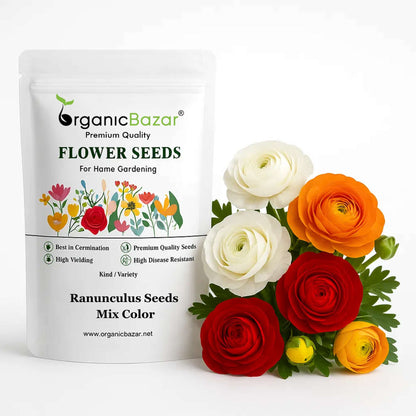 planting ranunculus seeds Ranunculus Seeds Mix Color (10 Seeds) High Germination/ Easy To grow/ – Organicbazar