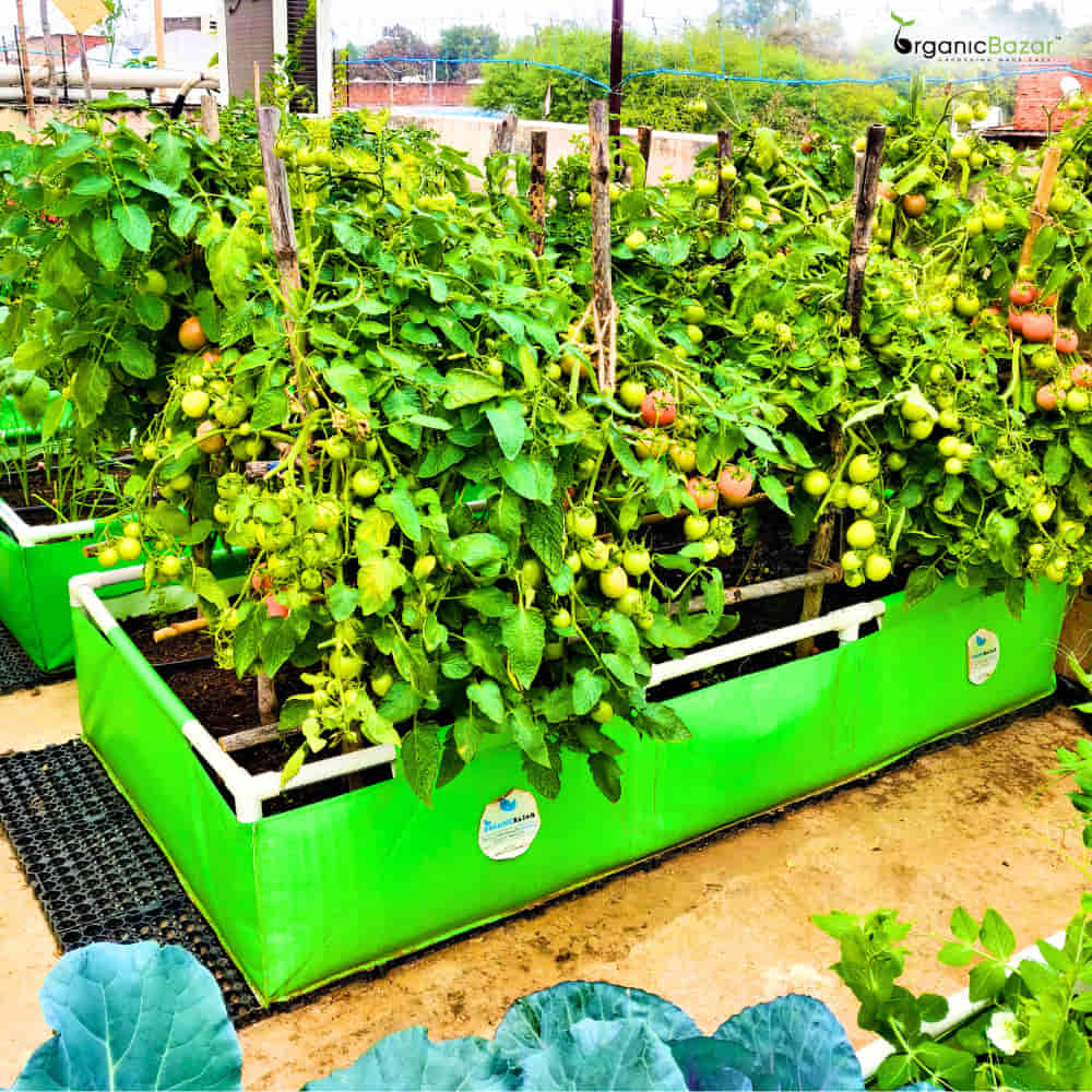 OrganicBazar 72x36x12 Rectangular Grow Bag With Supporting Pvc Pipes Frame, Premium HDPE Green Raised Bed