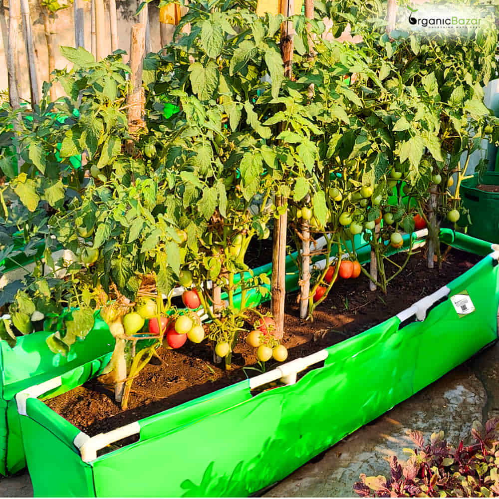 HDPE 60x15x15 Rectangle Grow Bag With Supporting Pvc Pipes Extra Thick Premium Quality Grow Bags