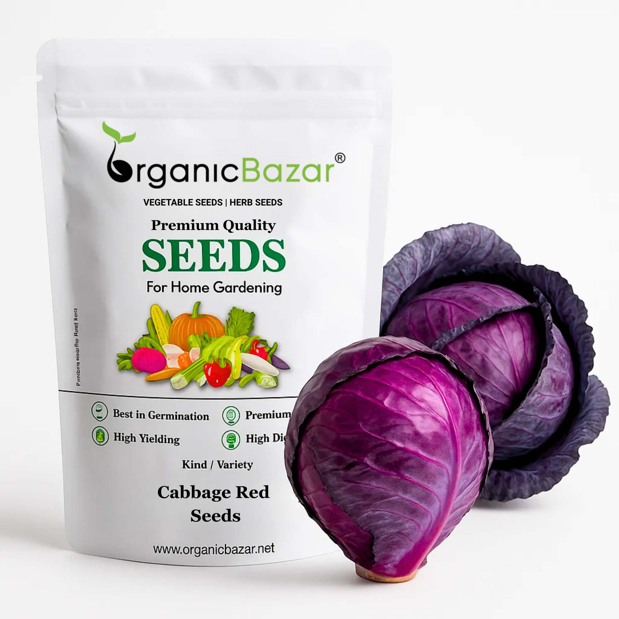 Cabbage Red Seeds - 150 Seeds (Lal Patta gobhi) (लाल पत्ता गोभी के बीज) High Germination / Easy to Grow / Ideal for Terrace/Kitchen Gardening