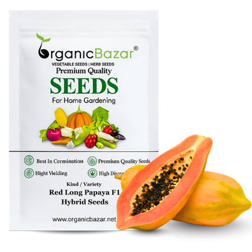 Red Long Papaya F1 Hybrid Seeds - 10 Seeds (Papita/पपीता के बीज) High Germination, High-yielding and fast-growing