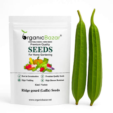 Ridge gourd or Luffa (Turai) Seeds - 12 Seeds (तुरई के बीज) Easy To grow, High Germination, High Yield Seeds for Home Gardening