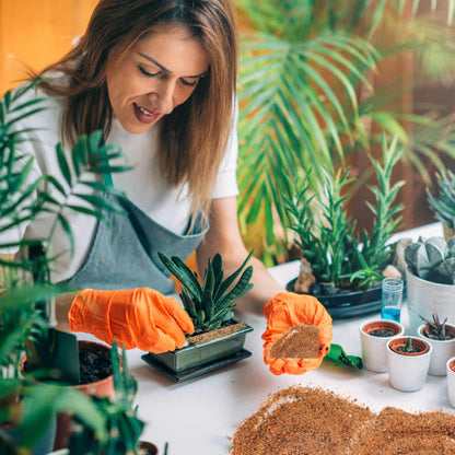 Natural River Sand Multi-Purpose Pure Organic Plants Soil Mix Additive