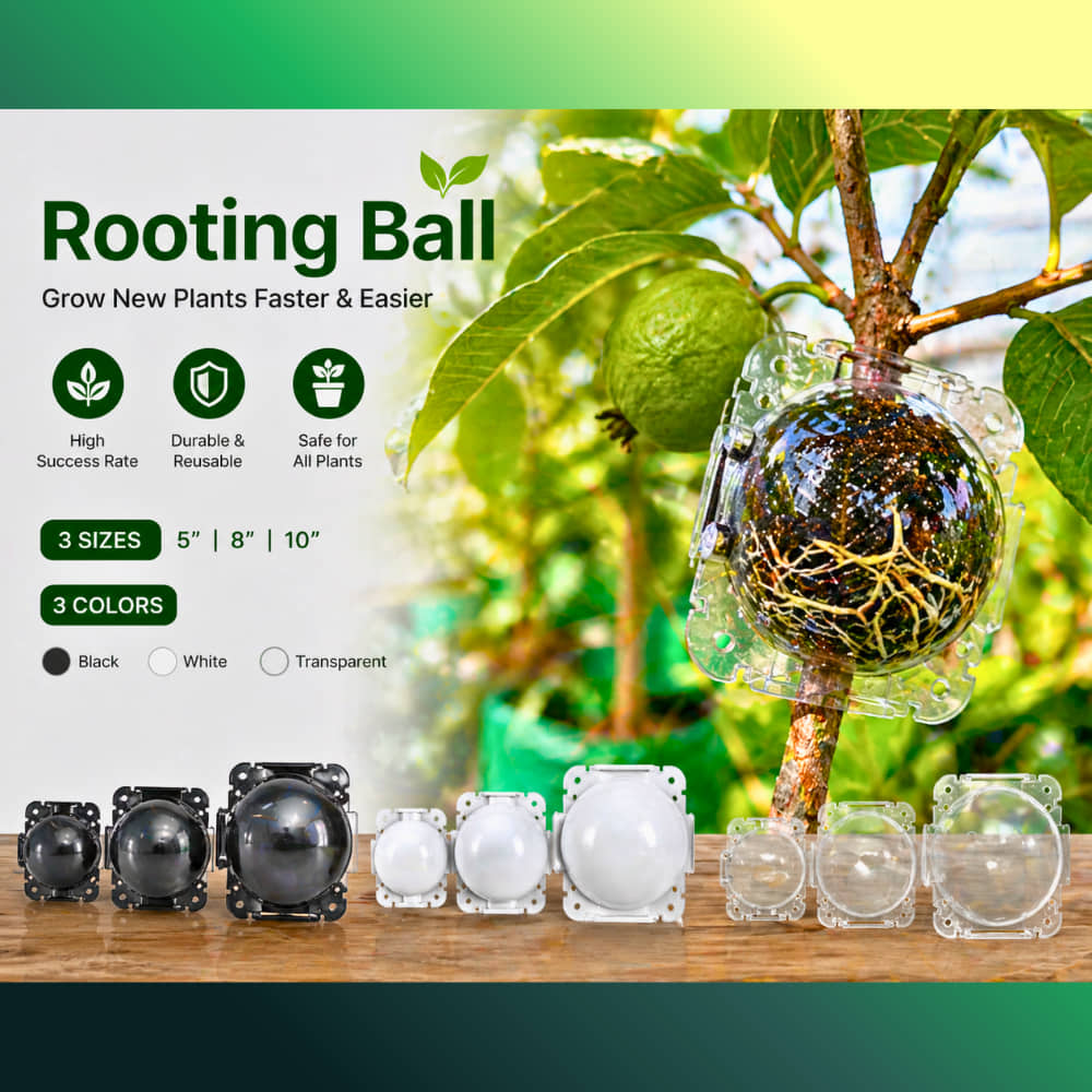 Rooting Ball Tools for Plant Propagation (Set of 5)