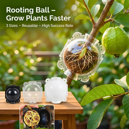 Rooting Ball Tools for Plant Propagation (Set of 5)