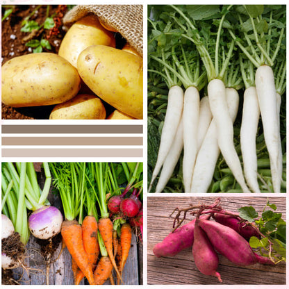 Geo Fabric 15X12 Potato Grow Bag With Harvest Window For Terrace Gardening Suitable For Vegetable and Flower Plants