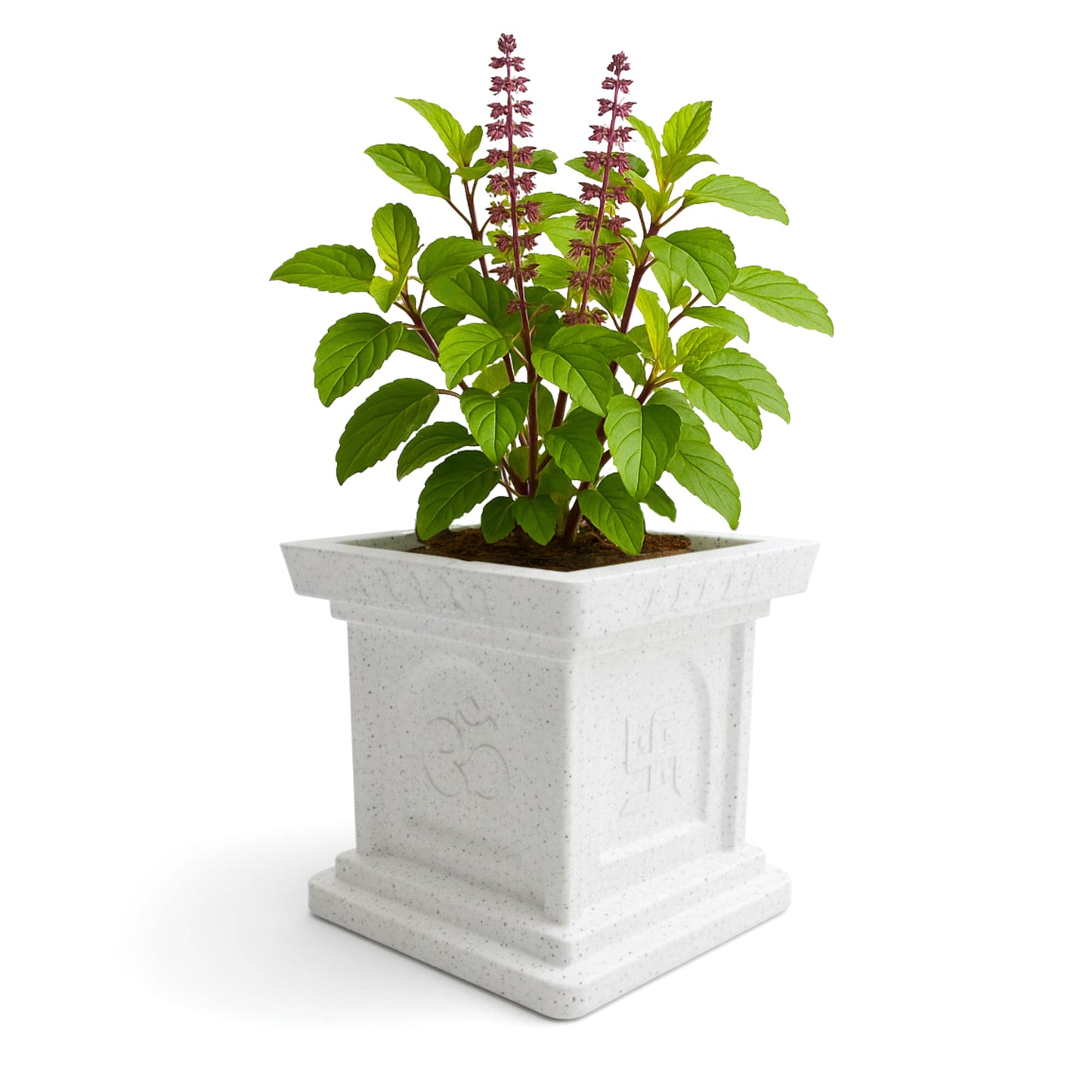 Roto Mould Tulsi Pot with 10+ Years Durability | Tulsi Container for home temples, pooja rooms, and gardens | 4 Sacred Carvings | White & Grey Colors
