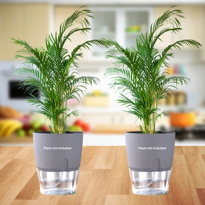 OrganicBazar Self Watering Pot Clear Plastic Decorative Garden Planters (Pack of 2) Without Plant