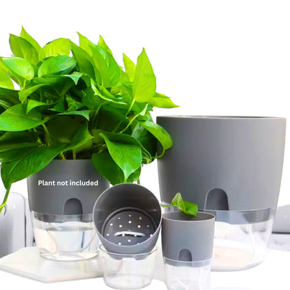 OrganicBazar Self Watering Pot Clear Plastic Decorative Garden Planters (Pack of 2) Without Plant