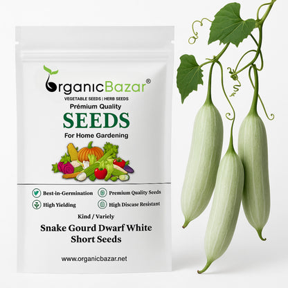 Snake Gourd (Chichinda) Dwarf White Short Seeds - 10 Seeds (चिचिंडा के बीज)