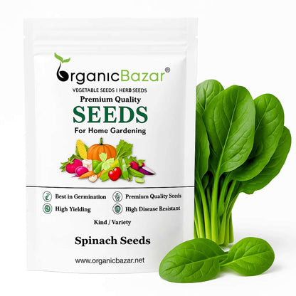 Spinach (Palak) Seeds (750 Seeds) (पालक के बीज)