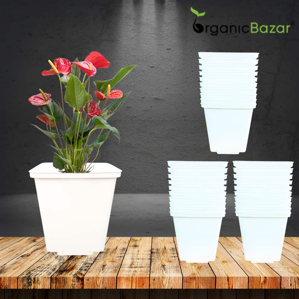 Square Nursery Pot for Seedlings (White)