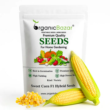 Sweet Corn (Makka) F1 Hybrid Seeds - 50 Seeds (मक्का के बीज)