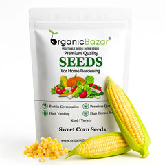 Sweet Corn (Makka) Seeds - 50 Seeds (मक्का के बीज) High Germination, Easy to Grow, Premium Quality Sweet Corn Seeds for Kitchen Gardening
