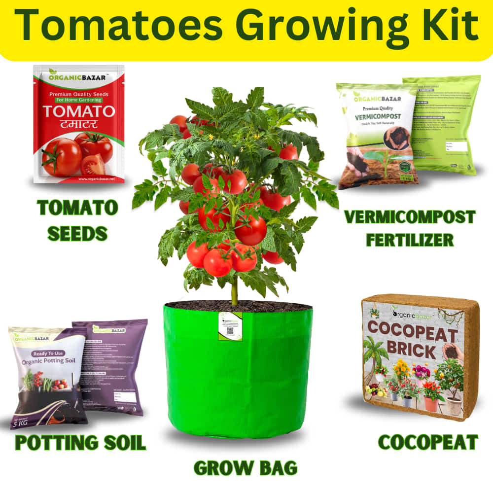 Tomatoes Growing Kit for beginners Grow Your Own Tomatoes - Perfect for Beginners
