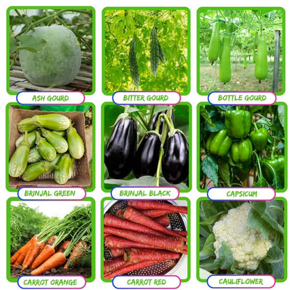 35 Variety Of Vegetable Seeds Kit With High Germination Rate (8800 Seeds)