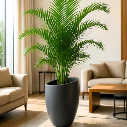 Calista Roto Moulded Tall Luxury Planter with 10+ Years Durability | Huge Terrazzo Finish Roto Container | Durable, Lightweight & Weatherproof Large Pot for Garden, Balcony & Living Room