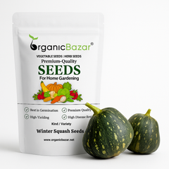 Winter Squash (Pumpkin) Seeds (10 Seeds) Easy To grow, High Germination, High Yield Seeds for Home Gardening