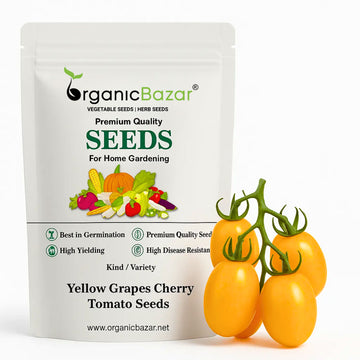 Yellow Grapes Cherry Tomato Seeds - 50 Seeds (Tamatar/टमाटर के बीज) High Germination/ Easy to Grow/ Ideal for Terrace/Kitchen Gardening